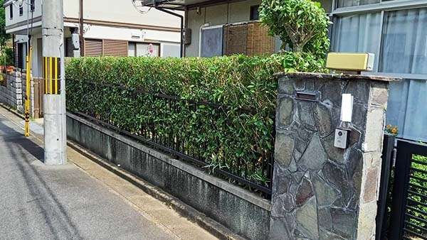 生垣刈り込み